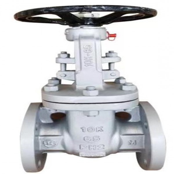 JIS Standard Gate Valve 20k/10k