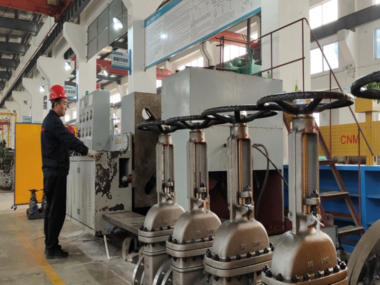 Soluciones integrales de válvulas de WuHu CNM Valve Industry Co., Ltd.