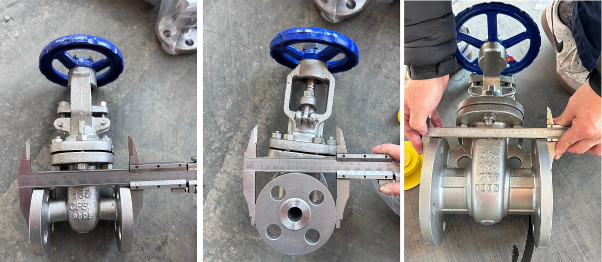 Stainless Steel Construction Gate Valve